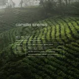 Гель для душа Zenology Purifying Camellia Sinensis, 500 мл — фото 2