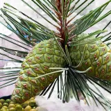 Лосьон для тела Byredo Gypsy Water — фото 4