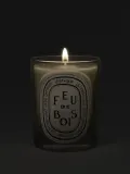 Ароматическая свеча Diptyque Feu de Bois — фото 4
