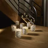 Ароматическая свеча Diptyque Mimosa — фото 6