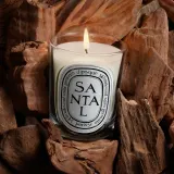 Ароматическая свеча Diptyque Santal — фото 5