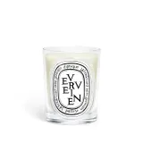 Ароматическая свеча Diptyque Verveine — фото 1