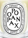 Ароматическая свеча Diptyque Opoponax, 190 г — фото 5