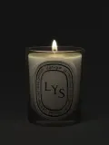 Ароматическая свеча Diptyque Lys, 190 г — фото 3