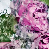 Крем для рук Byredo Lost Rose, 50 мл — фото 5