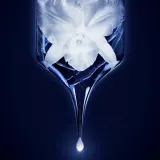Пенка для лица: Масло в геле GUERLAIN Orchidée Impériale, 150 мл — фото 2