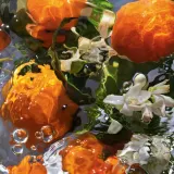 Крем для рук GUERLAIN Aqua Allegoria Mandarine Basilic, 50 мл — фото 3