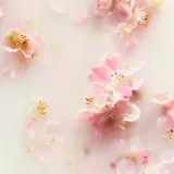 Крем для тела RITUALS The Ritual of Sakura, 220 мл — фото 2