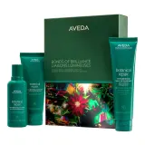 Aveda Bonds of Brilliance Botanical Repair набор для восстановления волос 100 мл + 100 мл + 100 мл — фото 1