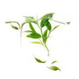 FOREO Green Tea UFO маска для лица тканевая очищающая с зелёным чаем 6 шт, 6 pcs — фото 2