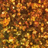 Палетка теней Nabla Glorious Glitter Palette, 4 г — фото 3
