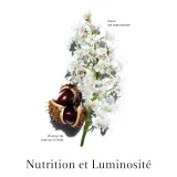 Clarins Nutri-Lumiere эмульсия дневная питательная для лица 50 мл — фото 2