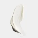 Clinique Superdefense SPF 25 крем для лица дневной для сухой кожи 30 мл — фото 1