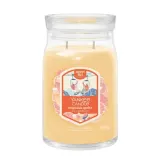 Свеча ароматическая Yankee Candle Signature Slopeside Spritz большая в банке, два фитиля, соевый воск — фото 1