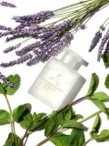 Масло для ванны и душа с лавандой и мятой Aromatherapy Associates Support Lavender & Peppermint Bath and Shower Oil, 55 мл — фото 2