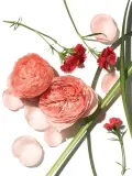 Розовый скраб для лица и тела тройного действия Aromatherapy Associates Rose Triple Exfoliator, 200 мл — фото 4