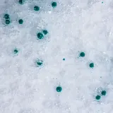 Отшелушивающий очищающий гель для нормальной и жирной кожи лица ZO Skin Health Exfoliating Cleanser, 200 мл — фото 6