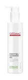 Освежающий очищающий гель для лица Cell Fusion C Expert Purifying, 200 мл — фото 1