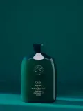 Увлажняющий шампунь для вьющихся и пушащихся волос Oribe Moisture & Control, 250 мл — фото 1