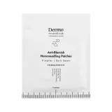 Активные нано-патчи против несовершенств и воспалений Dermomedica Cosmeceuticals Dermomedica Anti-Blemish — фото 1