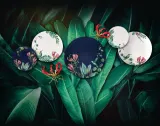 Villeroy & Boch Чашка с блюдцем Avarua 210 мл для кофе — фото 3