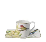 Villeroy & Boch Чашка с блюдцем Amazonia 80 мл для эспрессо — фото 1