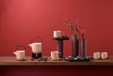ASA Кувшин Coppa Hanami 600 мл — фото 5