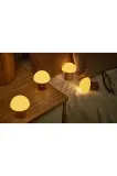 Настольная лампа Gingko Design bezprzewodowa Super Mini Alice Mushroom, дерево, LED, выс. 7,3 см — фото 8