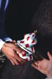 Новогоднее украшение Alessi z Delight, 15,5 см — фото 4