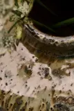 Ваза House Doctor HDBodi, керамика, 8,5 см, разноцветный — фото 3