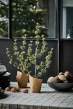 House Doctor HDStay Ёлка декоративная, разноцветная, 50 x 20 см — фото 2