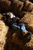 Декоративная подушка Byon Anima, хлопок, 40 60 см, коричневый — фото 5