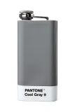 Фляга Pantone, нержавеющая сталь, 12 6 см, серый — фото 1