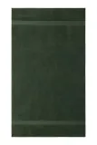Полотенце для лица Ralph Lauren AVENUE Pine, хлопок, 50 100 см, зелёный — фото 1