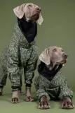 Куртка для собаки PAIKKA przeciwdeszczowy Rain Suit — фото 4