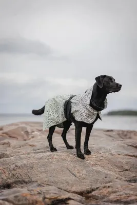 Плащ для собаки PAIKKA przeciwdeszczowy Raincoat 2.0