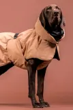 Плащ для собаки PAIKKA zimowy Visibility Winter Jacket — фото 5