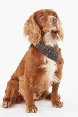 Barbour Tartan Dog Бандана для питомца, коричневая