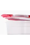 Joseph Joseph Набор контейнеров для продуктов из пластика, 1,1 л — фото 3