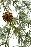 House Doctor Гирлянда сосновая Pine, пластик, 185 x 20 x 7 см — фото 2